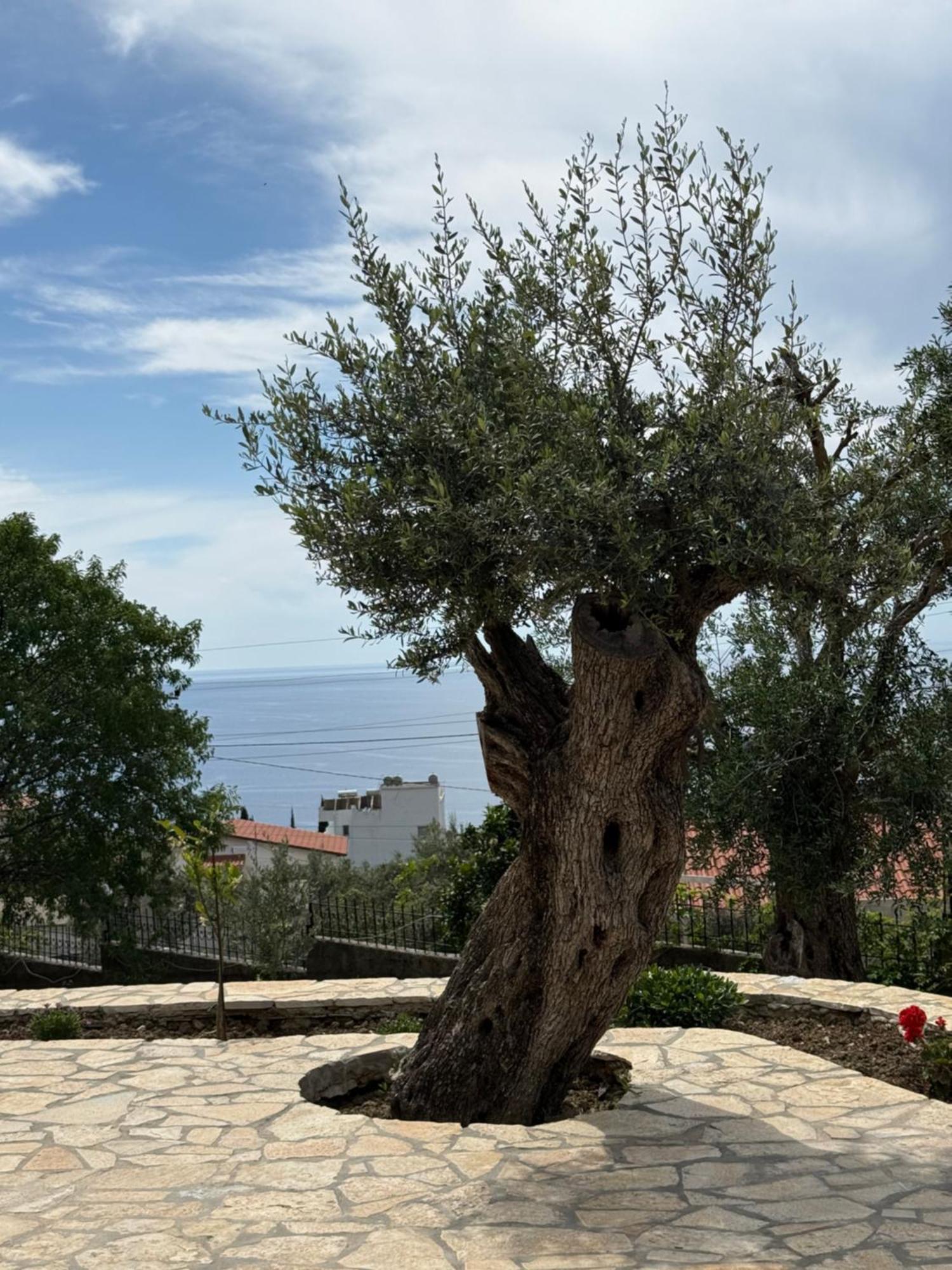 Villa Thomas Dhermi Exterior photo